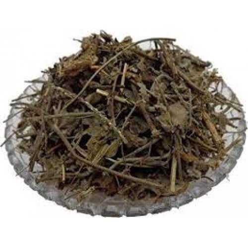 Jal Jamni Jal Jamini Jal Jamani Broom Creeper Cocculus Hirsutus