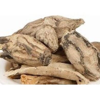 Behman Safed Bahman White Centaurea Behen