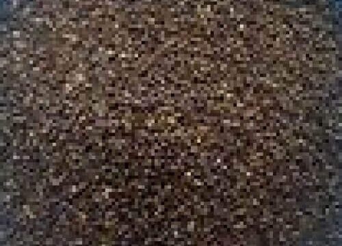 Tulsi Beej Basil Seeds Ocimum Sanctum