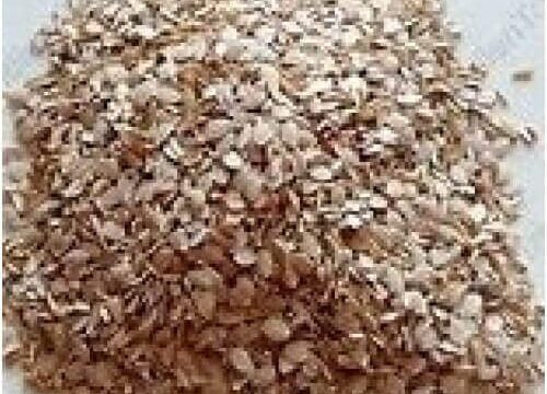 Utangan Beej Utangan Seeds Blepharis Edulis Pers