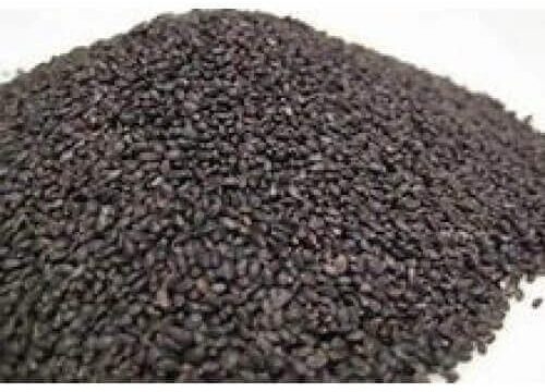 Tukmaria Moti Beej Tukmaria Sabja Seeds Ocimum Basilicum