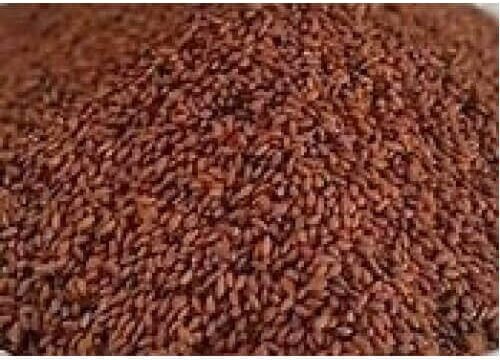 Chandrashura Chandrashoora Beej Asaliya Seed Garden Cress Seeds