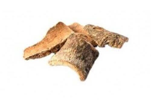 Varun Chaal Barun Chhal Varun Skin Varun Bark Barna Skin