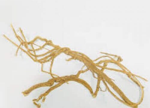 Sathi Jaad Punarnava Roots Boerhavia Diffusa