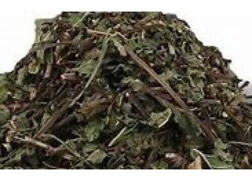 Pudina Dry Dried Podina Sookha Pudina Sukha Podina Mint Mentha Piperita