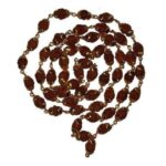 Rudraksh Mala Capwali Double Cup