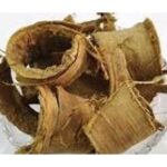 Arlu Chhal Aralu Chal Arlu Skin Shyonaka Chaal Ailanthus Excelsa