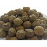 Majuphal Oak Gall Majoophal Manjakani Quercus Infectoria
