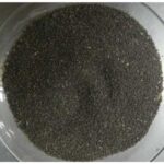 Samunder Sokh Beej Kamarkas Seeds Samudra Sosh Samundar Sokh Convolvulaceae