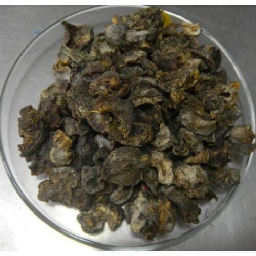 U1590-Aamla-Sukha1.jpg-filenameUTF-8U1590-Aamla-Sukha1.jpg Amla Dried Awala Awla Aamla Amalki Indian Gooseberry Emblica Officinalis - Image 1