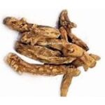 Shakakul Mishri Shaqaqul Misri Sakakul Mishri Pastinaca Sativa