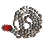 Vaijanti Vaijayanti  Mala